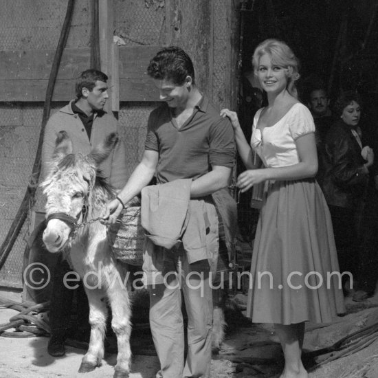 Brigitte Bardot and Stephen Boyd with a donkey during the shooting of "Les Bijoutiers du clair de lune" ("The Night Heaven Fell"), on the grounds of the Studios de la Victorine in Nice. Directing was Brigitte’s ex-husband Roger Vadim. Nice 1958. - Photo by Edward Quinn