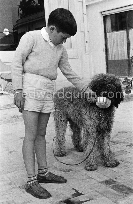 Charlie Chaplin\'s son Michael and Georges Simenon\'s poodle Mister. Cannes 1955 - Photo by Edward Quinn
