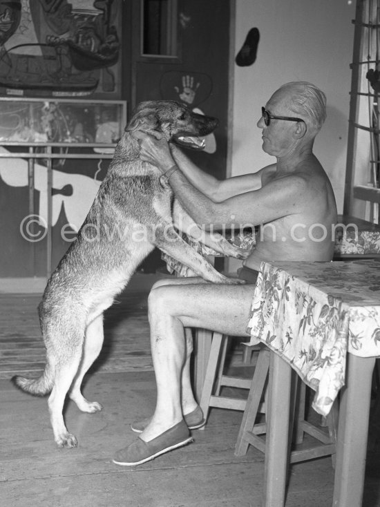 Le Corbusier (Charles-Édouard Jeanneret) with his dog at the restaurant L\'Etoile de Mer, attached to his vacation cabin Le Cabanon. Roquebrune-Cap-Martin 1953. - Photo by Edward Quinn