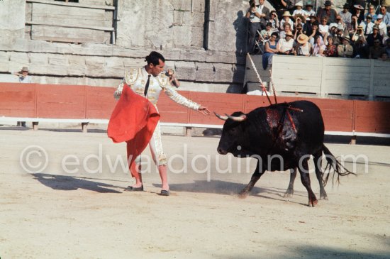 Luis Miguel Dominguin. Arles 1960. A bullfight Picasso attended (see "Picasso"). - Photo by Edward Quinn