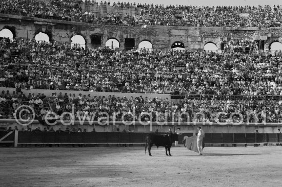 Luis Miguel Dominguin. Nimes 1960. A bullfight Picasso attended (see "Picasso"). - Photo by Edward Quinn