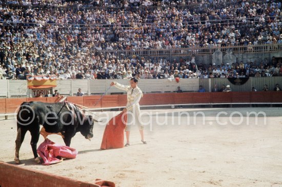 Luis Miguel Dominguin. Corrida Nimes 1960. A bullfight Picasso attended (see "Picasso"). - Photo by Edward Quinn