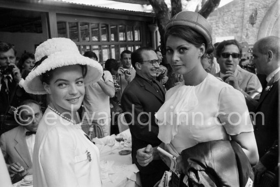 Sophia Loren and Romy Schneider, Cannes Film Festival 1962. - Photo by Edward Quinn