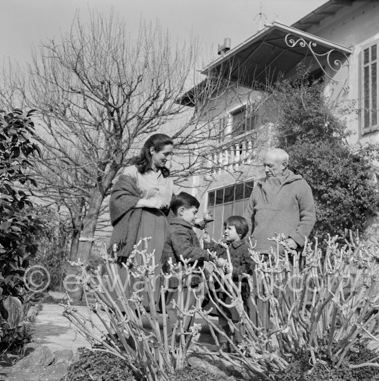 Pablo Picasso, Françoise Gilot and their children Claude and Paloma in the garden of La Galloise. Vallauris 1953. - Photo by Edward Quinn