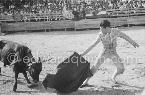 Spanish torero Jose Montero. In the background one can see on the grandstand Françoise Gilot, Pablo Picasso, Claude Picasso. Vallauris 1954. - Photo by Edward Quinn