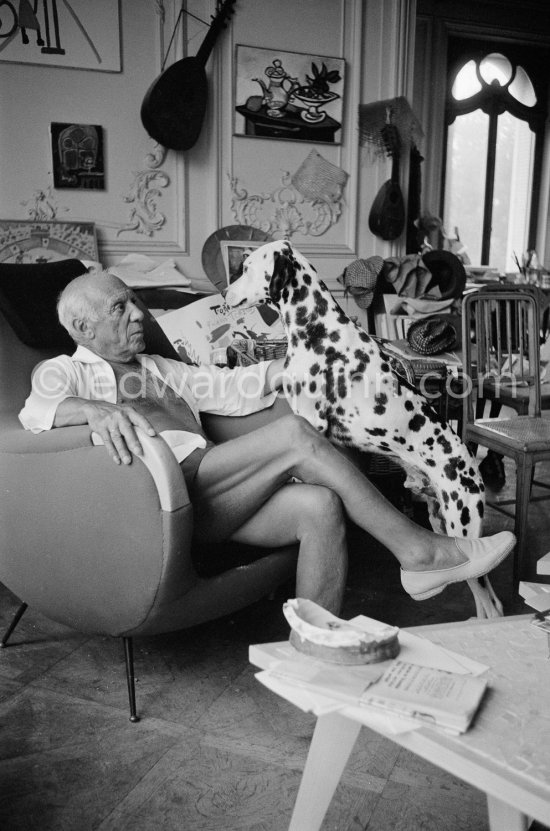 Pablo Picasso with his Dalmatian Perro. La Californie, Cannes 1961. - Photo by Edward Quinn