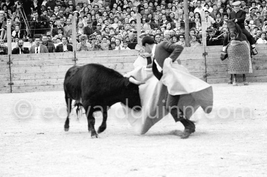 Bullfight put on in Pablo Picasso\'s honor (80th birthday). Luis Miguel Dominguin. The bullfighters Dominguin and Domingo Ortega killed a bull but this was forbidden in France. Pablo Picasso paid the fine of 5000 Francs. Vallauris 29.10.1961. - Photo by Edward Quinn