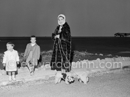 Elizabeth Taylor arriving at Nice Airport to spend a short holiday at Villa Fiorentina, Saint-Jean-Cap-Ferrat. With her were her two sons Michael and Christopher Wilding. Also travelling with her were her two doggies. Nice 1957. - Photo by Edward Quinn