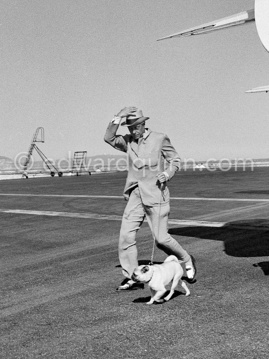 Edward Duke of Windsor and his dog fighting against a sudden blast at Nice Airport. The Duke came to the airport to fetch the Duchess of Windsor and then they drove on to the Carlton Hotel in Cannes. Some years before, the Duke and the Duchess had lived nearby at the Château de la Croe which later became the property of Mr. Onassis. In the gardens of the Château there still is a small tombstone in memory of their pet dog, inscribed "Preezie A 
Faithful Little Friend of Edward and Wallis. Duke and Duchess of Windsor". Nice 1954. - Photo by Edward Quinn