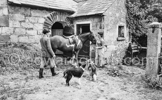 A horse farm outside Dublin 1963. - Photo by Edward Quinn