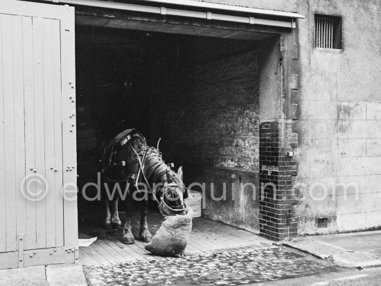 Dublin 1963. - Photo by Edward Quinn