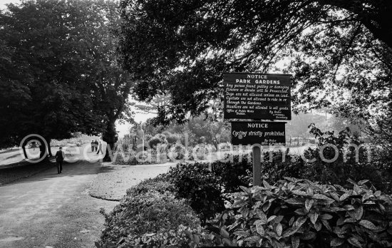 Phoenix Park. Dublin 1963. - Photo by Edward Quinn