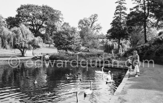 Phoenix Park. Dublin 1963. - Photo by Edward Quinn