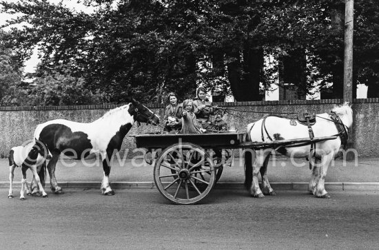 Travellers near Stillorgan.  Dublin 1963. - Photo by Edward Quinn