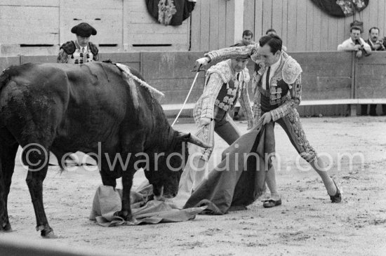 Julio Aparicio. Arles 1959. A bullfight Picasso attended (see "Picasso"). - Photo by Edward Quinn