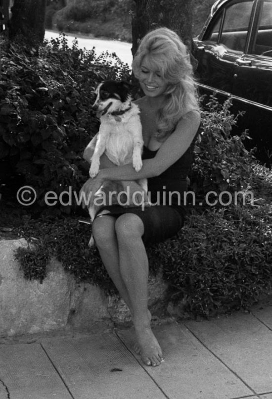 Brigitte Bardot with her dog Guapa zduring filming of “Voulez-vous danser avec moi?”. Nice 1959. - Photo by Edward Quinn