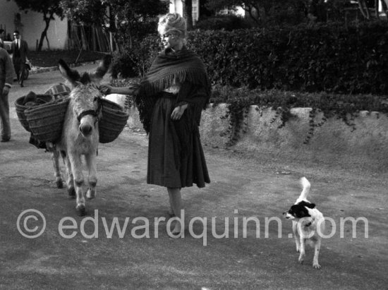 Brigitte Bardot with a donkey and her mixed breed Guapa during filming of "Les bijoutiers du clair de lune" ("The Night Heaven Fell"). Studios de la Victorine, Nice 1958. - Photo by Edward Quinn