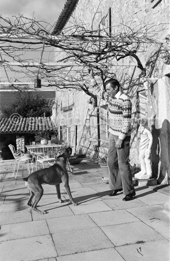 Dirk Bogarde, British actor playing with his dogs on the terrace of his home Le Haut Clermont, a former farmhouse in Châteauneuf-Grasse. Bogarde was named the number one British box office star in 1955. Grasse 1980. - Photo by Edward Quinn