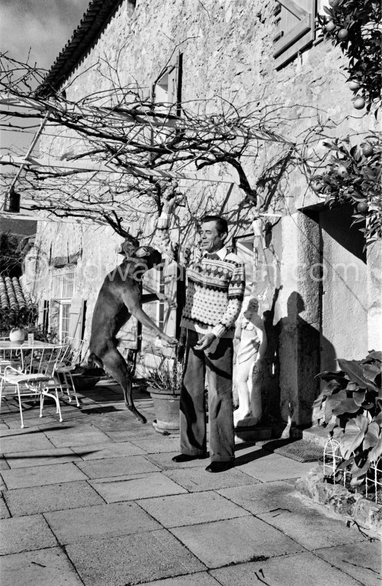 Dirk Bogarde, British actor playing with his dogs on the terrace of his home Le Haut Clermont, a former farmhouse in Châteauneuf-Grasse. Bogarde was named the number one British box office star in 1955. Grasse 1980. - Photo by Edward Quinn