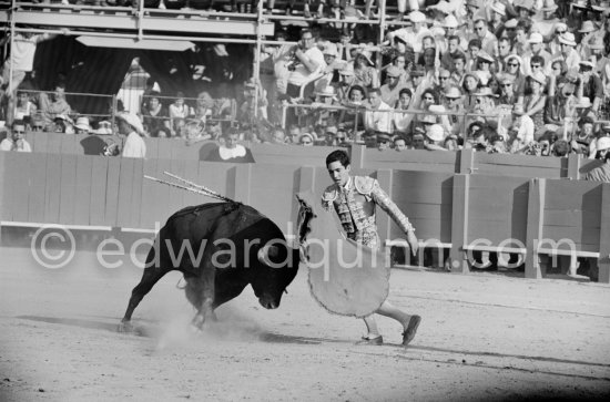 Paco Camino, Fréjus 1965. A bullfight Picasso attended (see "Picasso"). - Photo by Edward Quinn