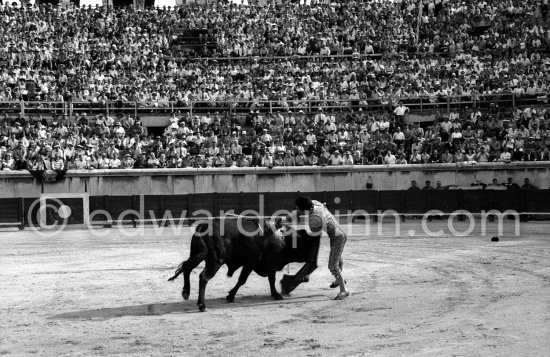 Paco Camino, Nimes 1960. A bullfight Picasso attended (see "Picasso"). - Photo by Edward Quinn