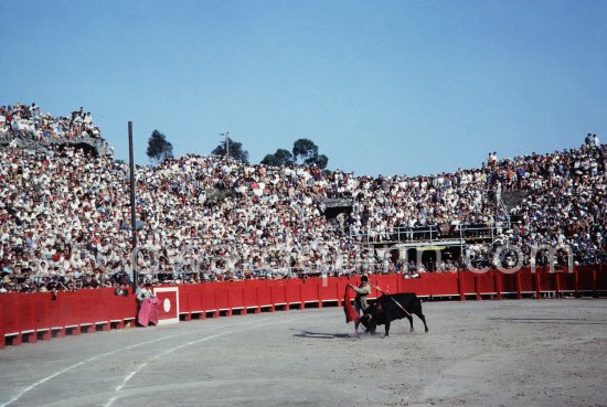 Paco Camino, Fréjus 1965. A bullfight Picasso attended (see "Picasso"). - Photo by Edward Quinn