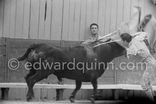 Antonio Chamaco. Corrida des vendanges à Arles 1959. A bullfight Picasso attended (see "Picasso"). - Photo by Edward Quinn