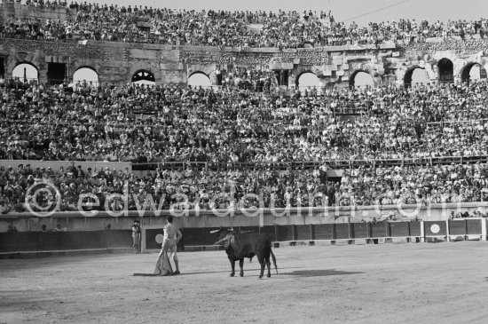 Luis Miguel Dominguin. Corrida Nimes 1960 - Photo by Edward Quinn