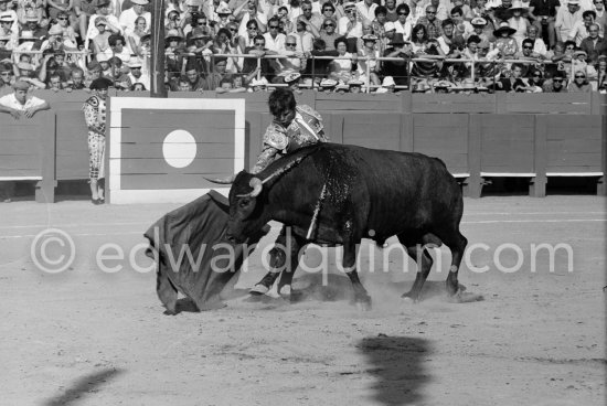 El Cordobés. Fréjus 1965. A bullfight Picasso attended (see "Picasso"). - Photo by Edward Quinn