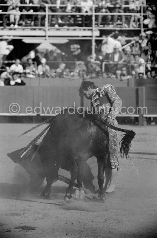 El Cordobés. Fréjus 1965. A bullfight Picasso attended (see "Picasso"). - Photo by Edward Quinn