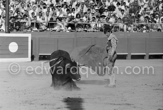 El Cordobés. Fréjus 1965. A bullfight Picasso attended (see "Picasso"). - Photo by Edward Quinn