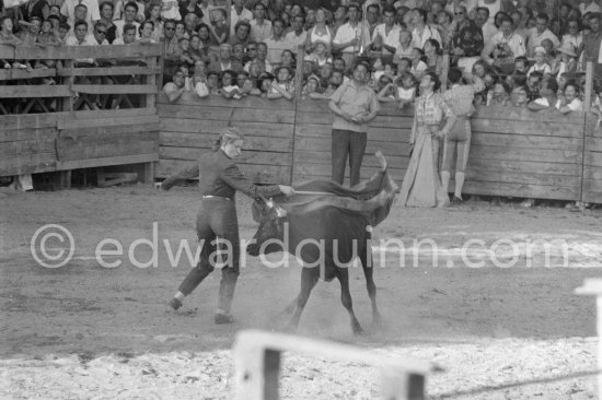 Local Corrida in honor of Picasso. French lady bullfighter Pierrette Le Bourdiec, "La Princesa de París". Vallauris 1955 - Photo by Edward Quinn