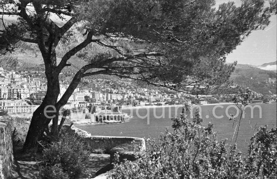 Monte Carlo. View from Monaco Rocher 1950. - Photo by Edward Quinn