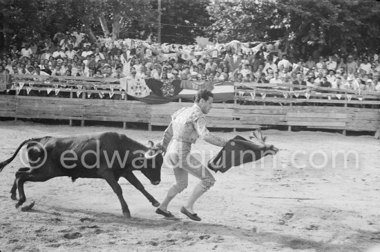 Spanish torero Jose Montero. In the background one can see on the grandstand Françoise Gilot, Pablo Picasso, Claude Picasso. Vallauris 1954. - Photo by Edward Quinn