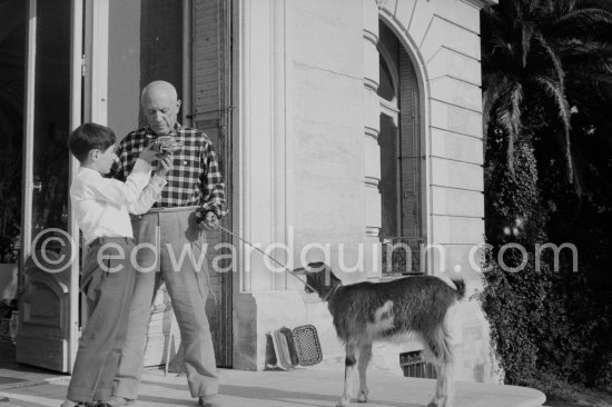 Pablo Picasso at Christmas with Esmeralda, the goat he received from Jacqueline. Claude Picasso with his Christmas present, a toy Citroën DS. La Californie, Cannes 1956. - Photo by Edward Quinn