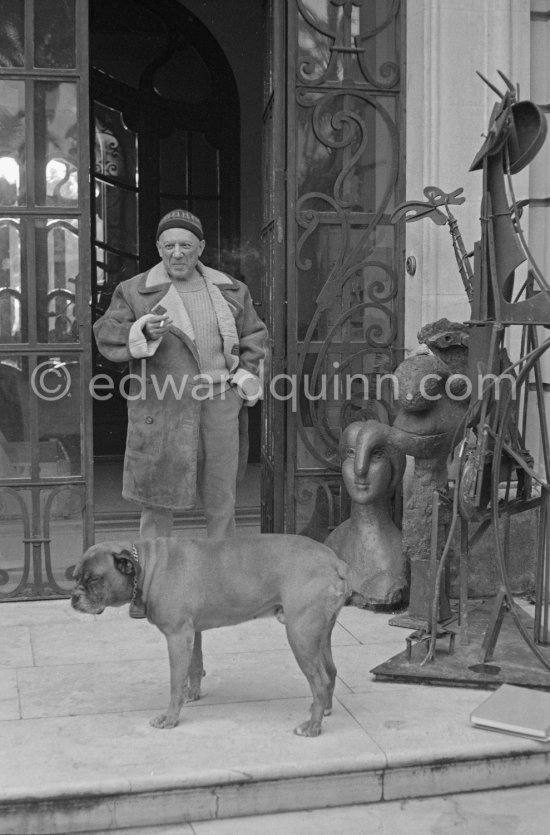 Pablo Picasso at the entrance of La Californie with his boxer dog Jan ...