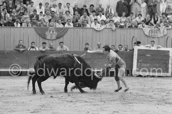 Julio Aparicio. On the grandstand from left: John Richardson, Douglas Cooper, Francine Weisweiller, Jean Cocteau, Pablo Picasso, Luis Miguel Dominguin, Lucia Bosè, Jacqueline Picasso. Corrida des vendanges. Arles 1959. Other photos of this bullfight in the bull ring see "Miscellaneous" - Photo by Edward Quinn