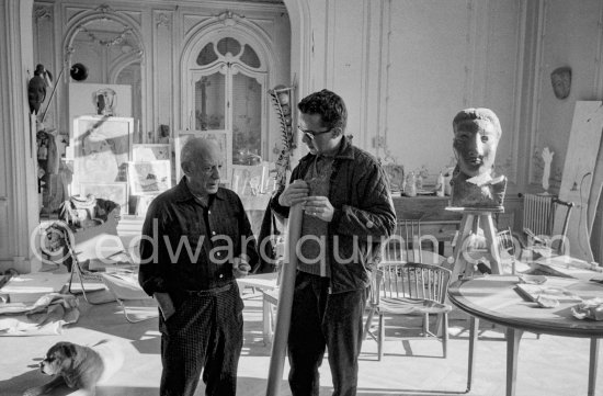 Pablo Picasso and Pierre Baudouin. Pablo Picasso\'s boxer dog Jan. La Californie, Cannes 1959. - Photo by Edward Quinn