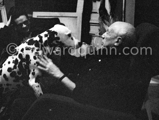 Pablo Picasso and his Dalmatian Perro. La Californie, Cannes 1959. - Photo by Edward Quinn