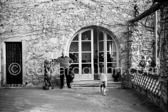 Pablo Picasso with bronze sculpture of God A\'a on the terrace at the entrance to Mas Notre-Dame-de-Vie, and Afghan dog Kaboul. Mas Notre-Dame-de-Vie, Mougins 14.2.1962. - Photo by Edward Quinn