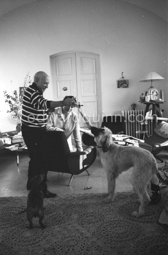 Pablo Picasso and Jacqueline with Afghan dog Kaboul and dachshund Lump. Mas Notre-Dame-de-Vie, Mougins 14.2.1962. - Photo by Edward Quinn