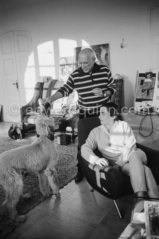 Pablo Picasso and Jacqueline with Afghan dog Kaboul. Mas Notre-Dame-de-Vie, Mougins 14.2.1962. - Photo by Edward Quinn