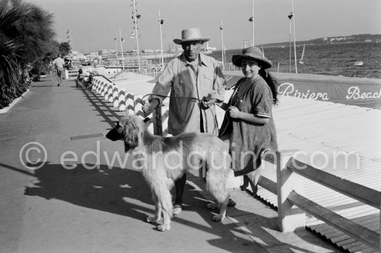 Pablo Picasso and Jacqueline with Afghan dog Kaboul. Croisette de Cannes 1963. - Photo by Edward Quinn