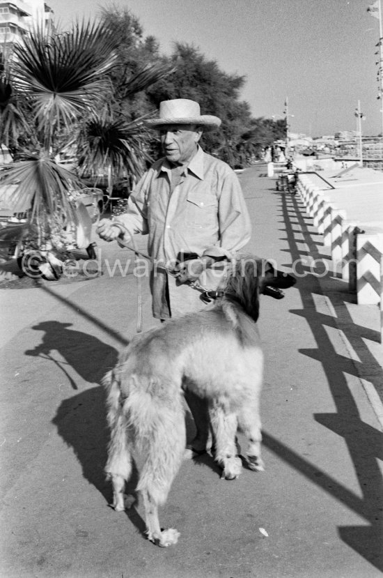 Pablo Picasso with Afghan dog Kaboul. Croisette de Cannes 1963. - Photo by Edward Quinn