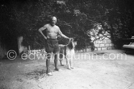 Pablo Picasso with Afghan dog Kaboul. Vallauris 1963. - Photo by Edward Quinn