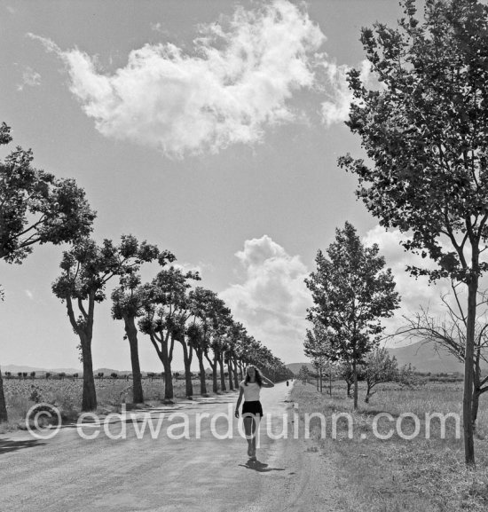 Gret Quinn, near Arles. Summer 1951. - Photo by Edward Quinn