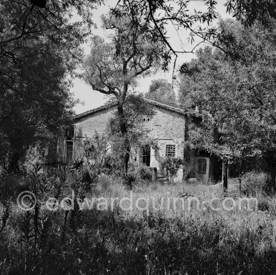 The old farmhouse of the estate of Auguste Renoir. 
Cagnes-sur-Mer 1962 - Photo by Edward Quinn