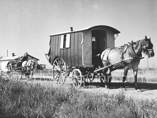 Gypsies on the occasion of the yearly pilgrimage and festival of the Gypsies in honor of Saint Sara, Saintes-Maries-de-la-Mer in 1953. - Photo by Edward Quinn