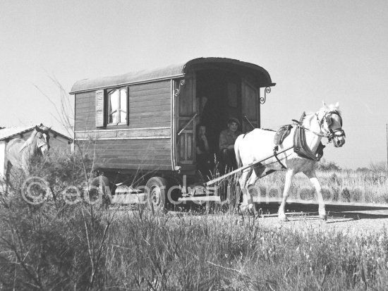 Gypsies on the occasion of the yearly pilgrimage and festival of the Gypsies in honor of Saint Sara, Saintes-Maries-de-la-Mer in 1953. - Photo by Edward Quinn