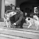 Prince Rainier of Monaco at the time he was still "the bachelor prince". Here he is in his bachelor hide-out, Villa Iberia, with his dogs Bella, John and Whiskey. Saint-Jean-Cap-Ferrat 1954.